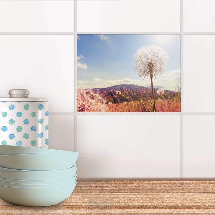 Fliesenfolie - Dandelion - CR104064