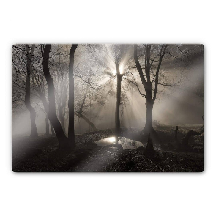 Glasbild Cuadrado - The Spirit - WA315237