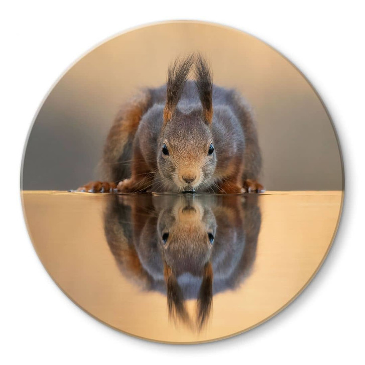 Glasbild Eichhörnchen am Wasser - van Duijn - Rund - WA471820