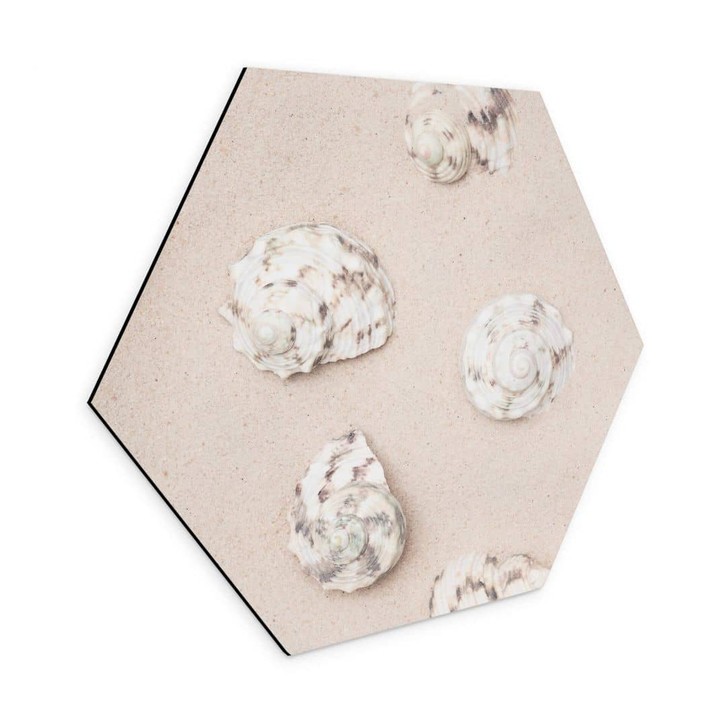 Hexagon - Alu-Dibond 1X Studio - Am Strand - WA340675