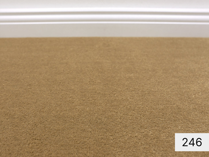 JAB Clarity Hochflor Teppichboden Meterware in 246 - TS509175
