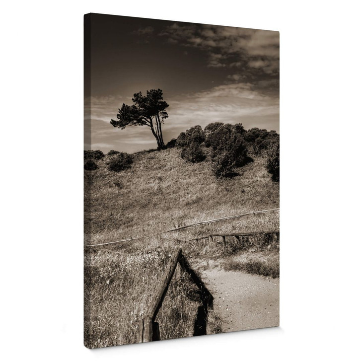Leinwandbild Landschaft auf Hiddensee - WA368181