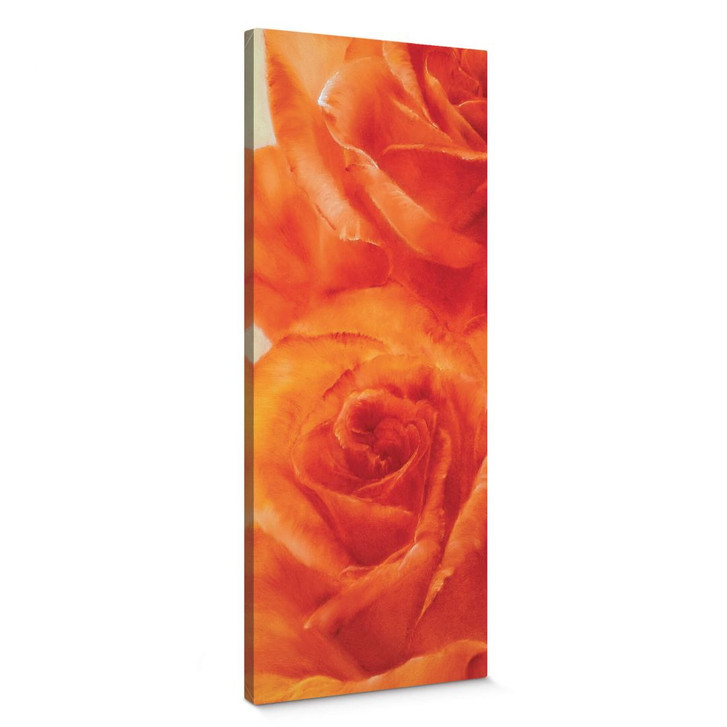 Leinwandbild Schmucker - Rosen - WA373987