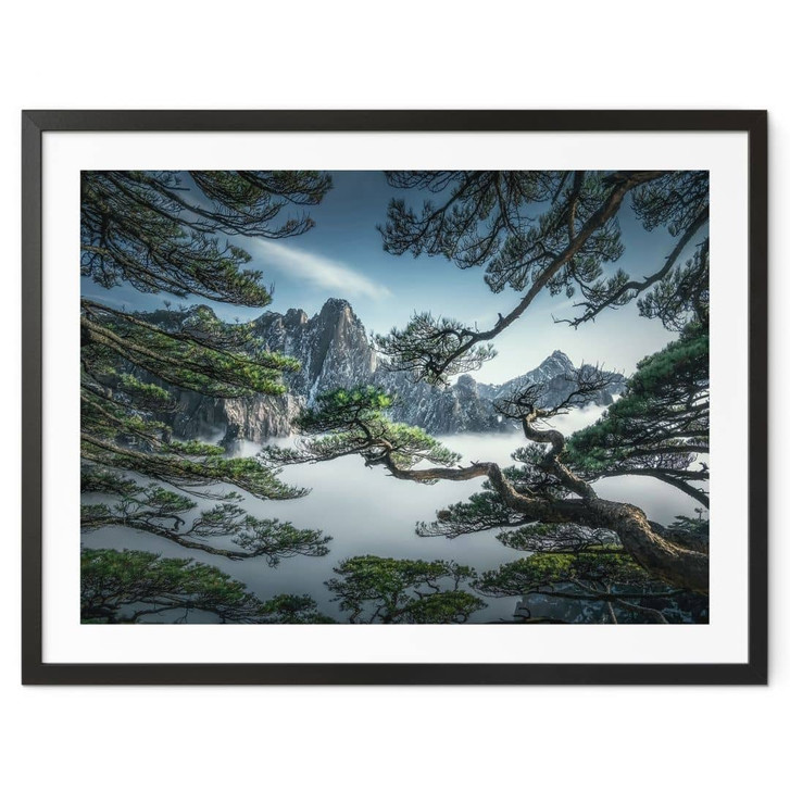 Poster Kiefernwald im Huang Shan Gebirge - NingYun Ye - WA434569