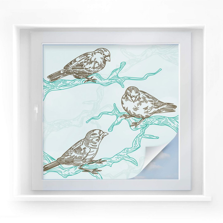 Sichtschutzfolie Spatzen Illustration - quadratisch - WA176962
