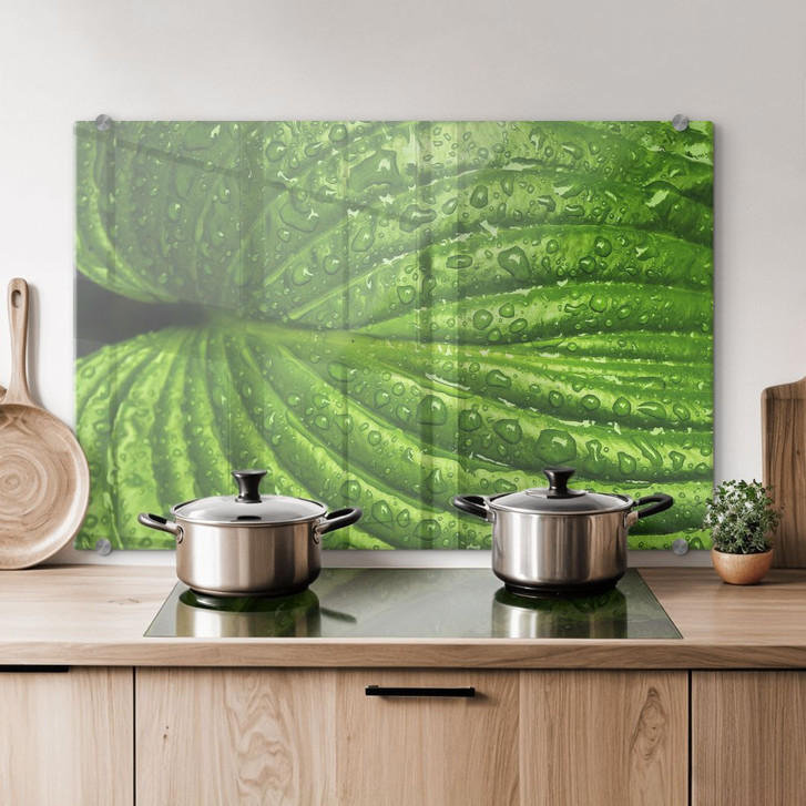 Spritzschutz Nach dem Regen - WA179017