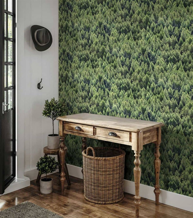 Vliestapete in Waldoptik mit Nadelbäumen grün Floral - WA445483