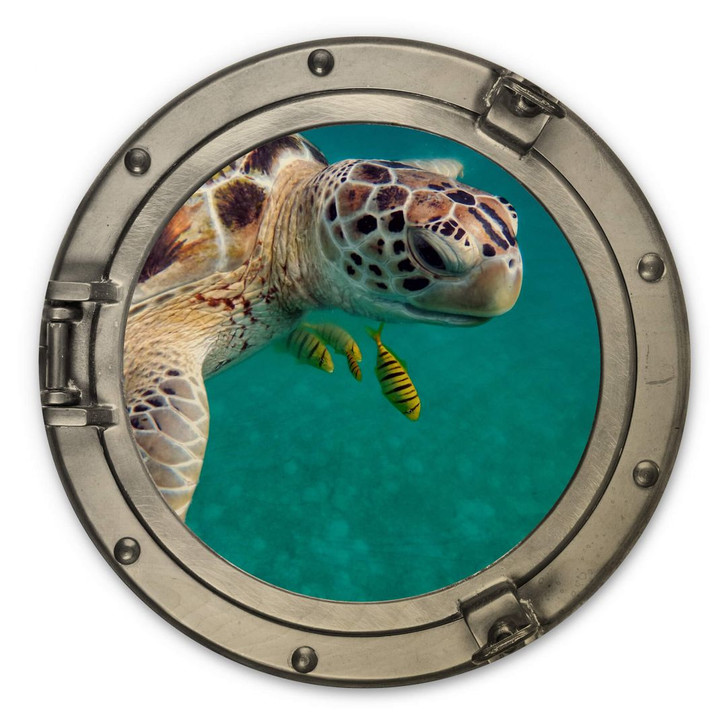 Holzbild 3D Optik - Unterwasserfreunde - Rund - WA309616