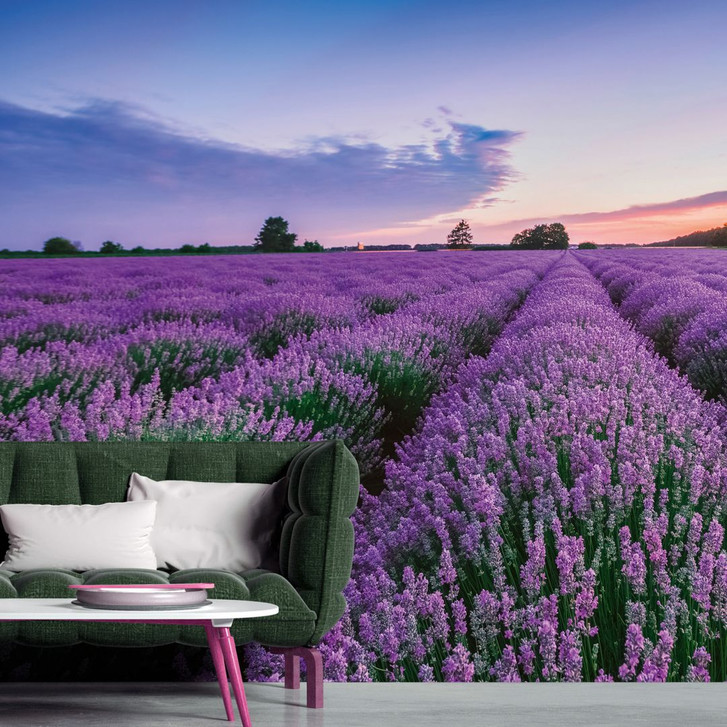 Lavendel-Fototapete Lila Blau – Vliestapete 3.75 m x 2.50 m Blütenfeld Provence - WA504978