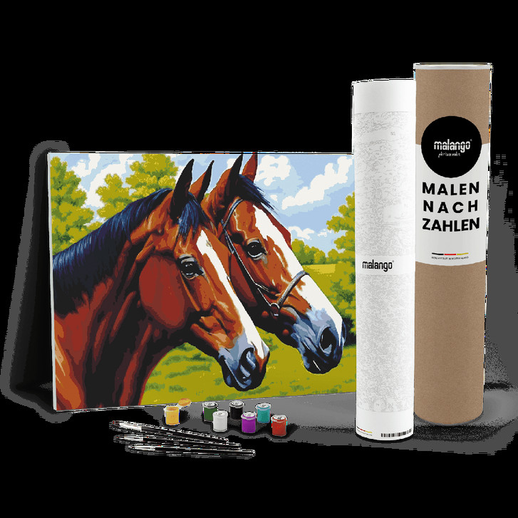 Malen nach Zahlen Leinwandbild - Pferde auf der Koppel - WA447516