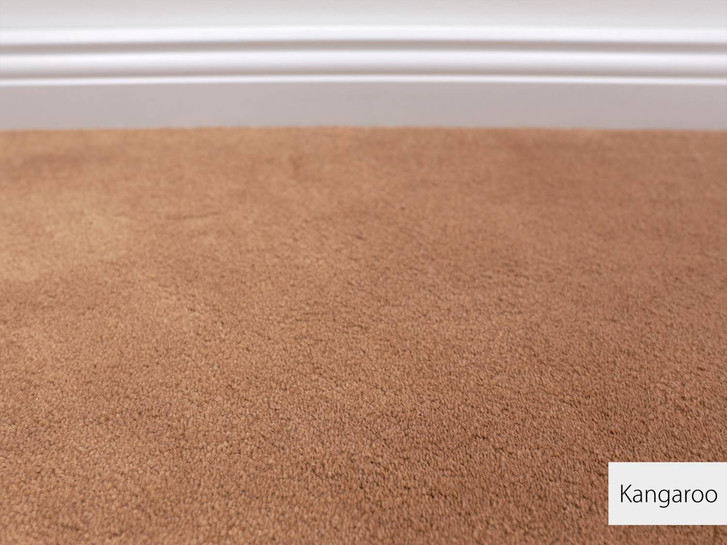 Emily Velours Teppichboden | Meterware | Kangaroo - TS433677