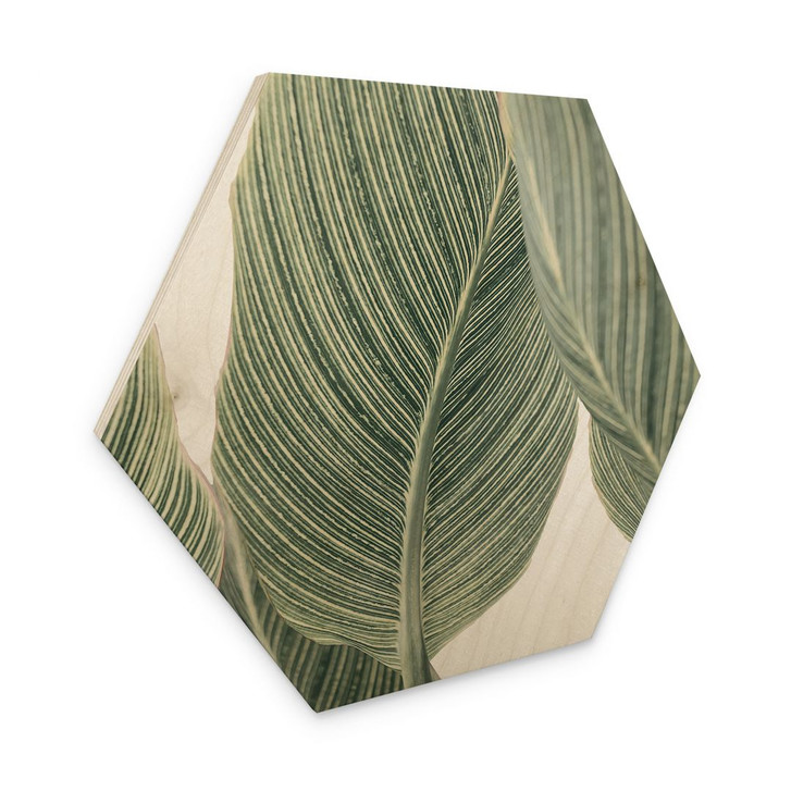 Hexagon-Holzbild Calathea Pflanze - Sisi & Seb - WA425466