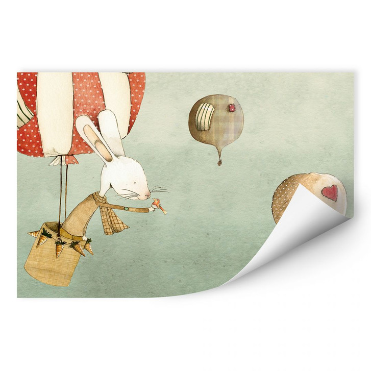 Wallprint Loske - Ballonfahrt - WA185958