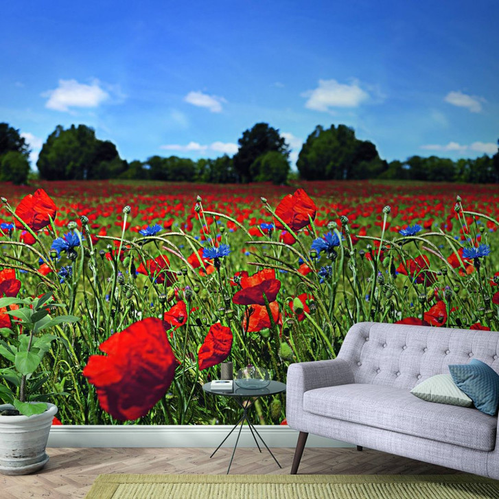 Fototapete mit Blumenwiese und blauem Himmel Rot, Grün ,Floral 2.70 x 1.59 m - WA449001