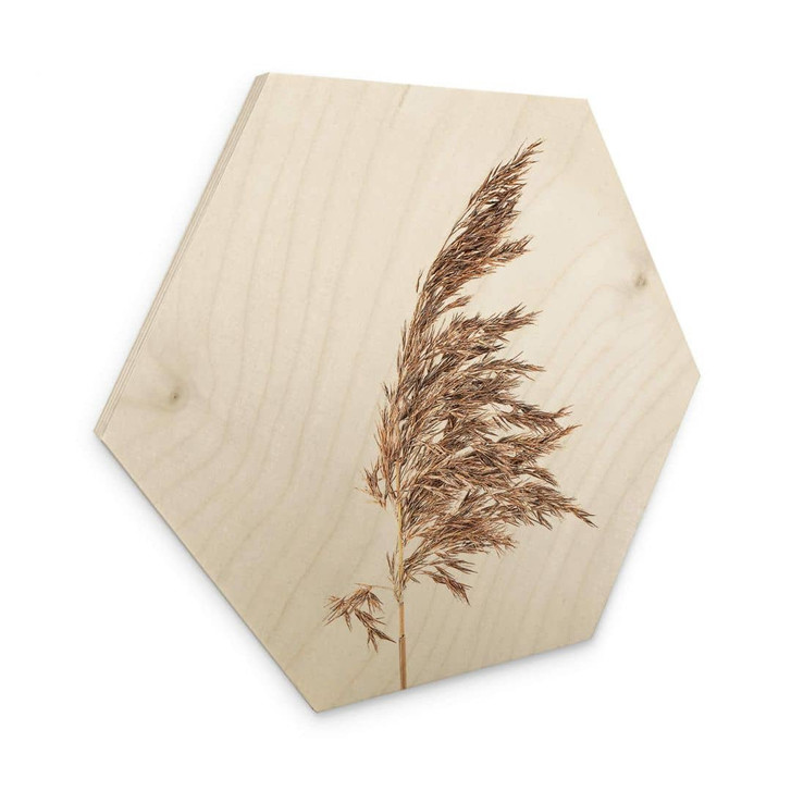 Hexagon - Holz Ziergras No. 2 - WA321039