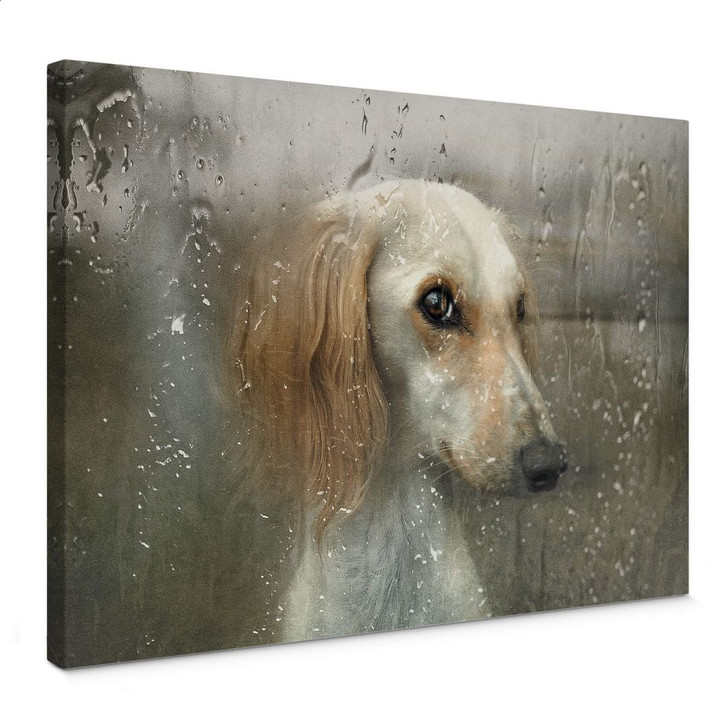 Leinwandbild Melik-Nubarova - Treuer Hund wartet am Fenster - WA403562