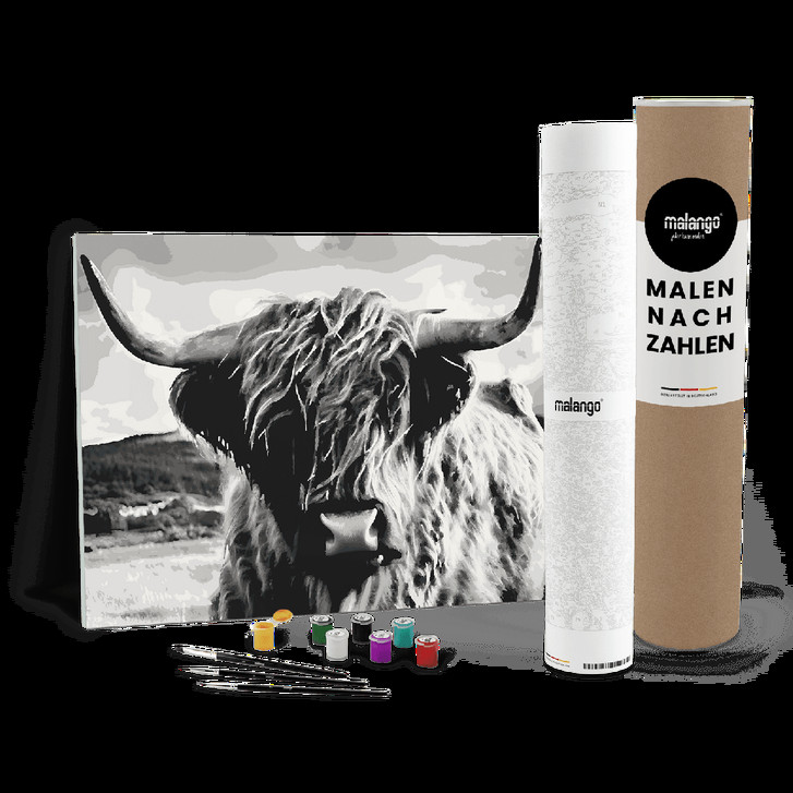 Malen nach Zahlen Leinwandbild - Bulle Bobby - WA447292
