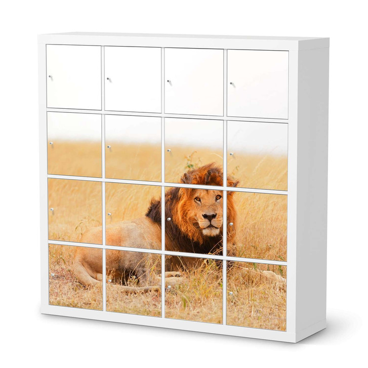 Möbelfolie IKEA Kallax Regal 16 Türen - Lion King - CR115232
