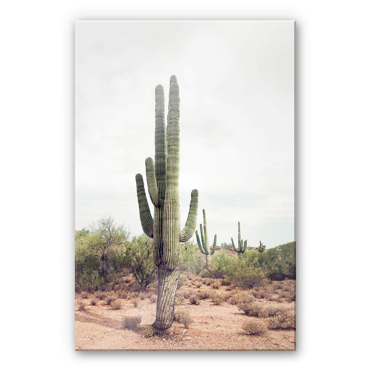 Acrylglasbild Sisi & Seb - Wüstenkaktus - WA261415