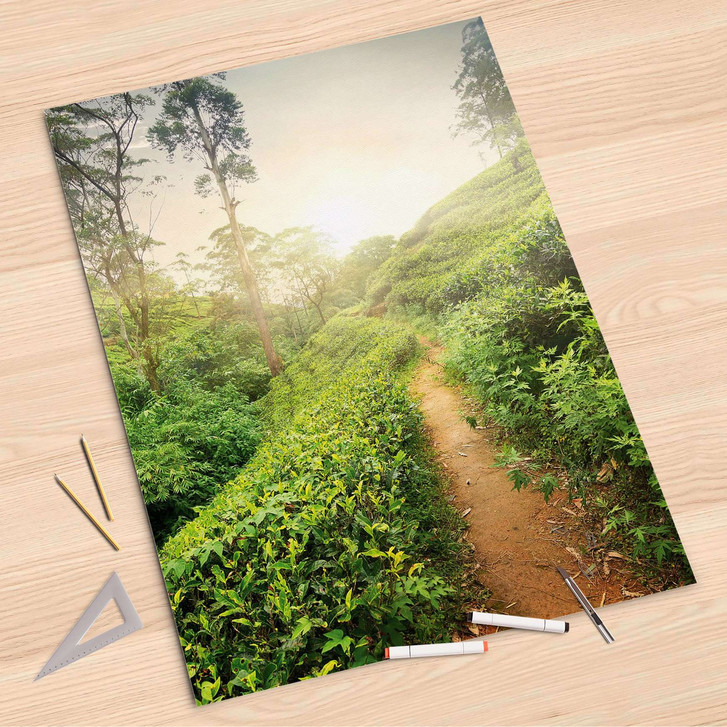 Folienbogen (80x120cm) - Green Tea Fields - CR107338