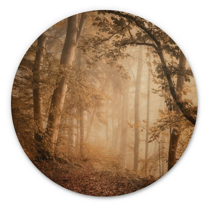 Holzbild Wald im morgendlichen Nebel - Maier - Rund - WA400607
