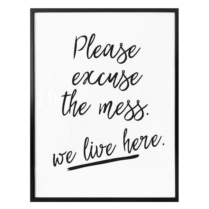 Poster Please excuse the mess - WA248796