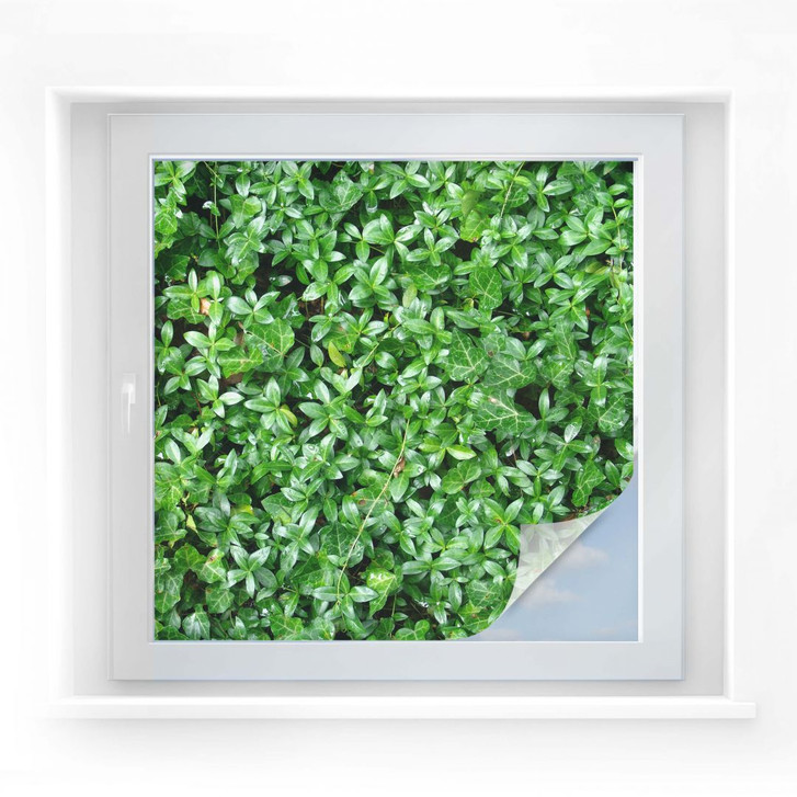 Sichtschutzfolie Der grüne Daumen - quadratisch - WA174666