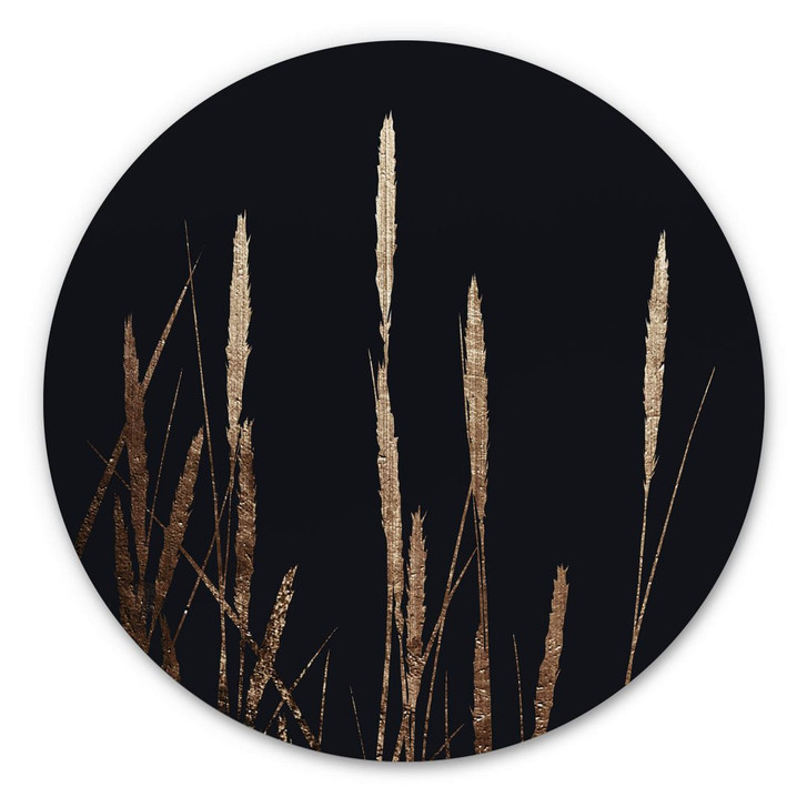 Alu-Dibond Kubistika - Goldene Felder - Rund - WA344821