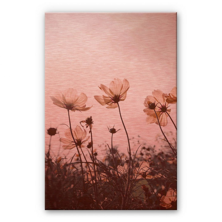 Alu-Dibond Bild mit Kupfereffekt Wilde Wiese - WA244459