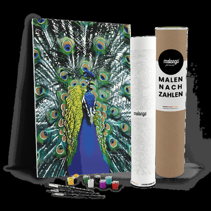 Malen nach Zahlen Leinwandbild - Pfau Philippe - WA447500