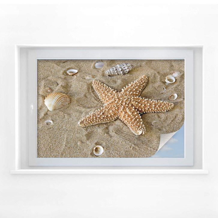 Sichtschutzfolie Patrick der Seestern - WA176347