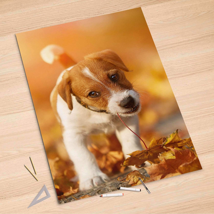 Folienbogen (100x150cm) - Jack the Puppy - CR106205