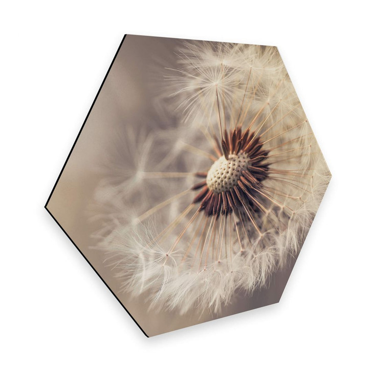 Hexagon - Alu-Dibond Delgado - Pusteblume - WA272619