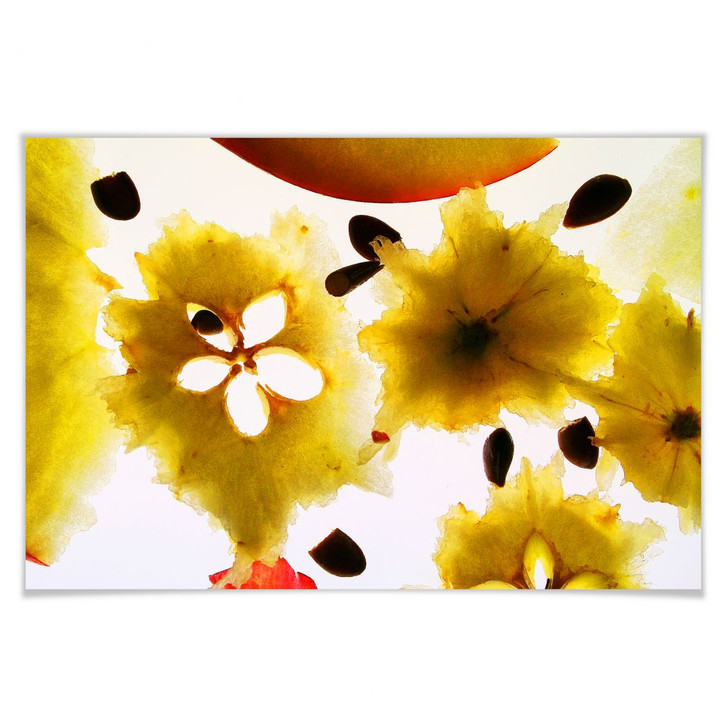 Poster Abstract Fruit - WA156996