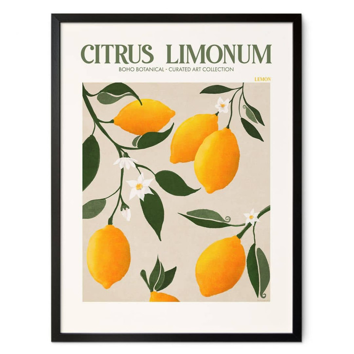 Poster Boho Zitronenbaum - Citrus Limonum - Tunaboylu - WA417440