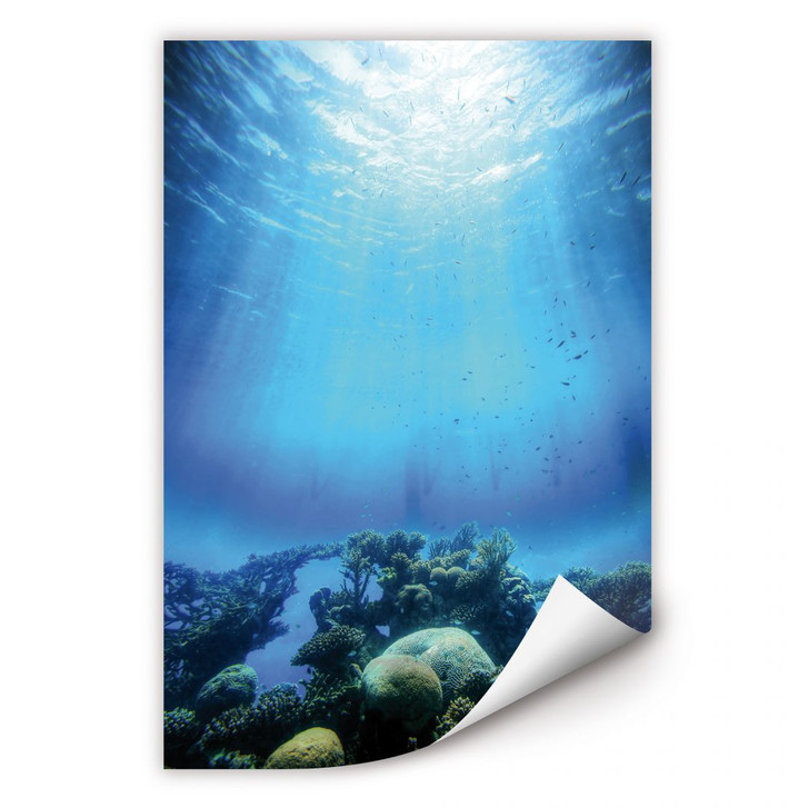 Wallprint Deep Blue - WA182985