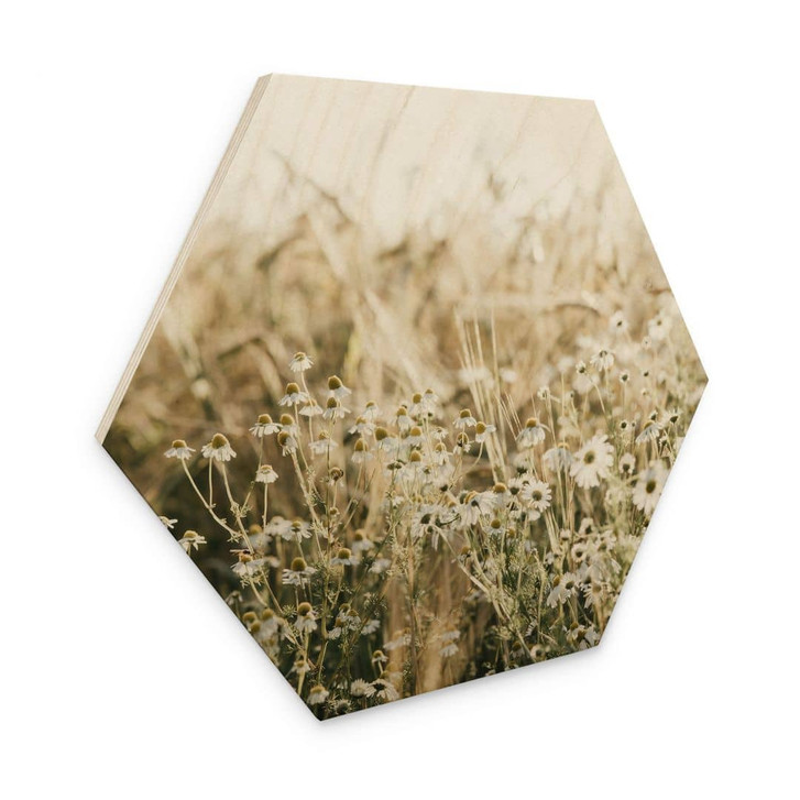 Hexagon Holzbild Sommerwiese mit Kamille - Annie - WA471896