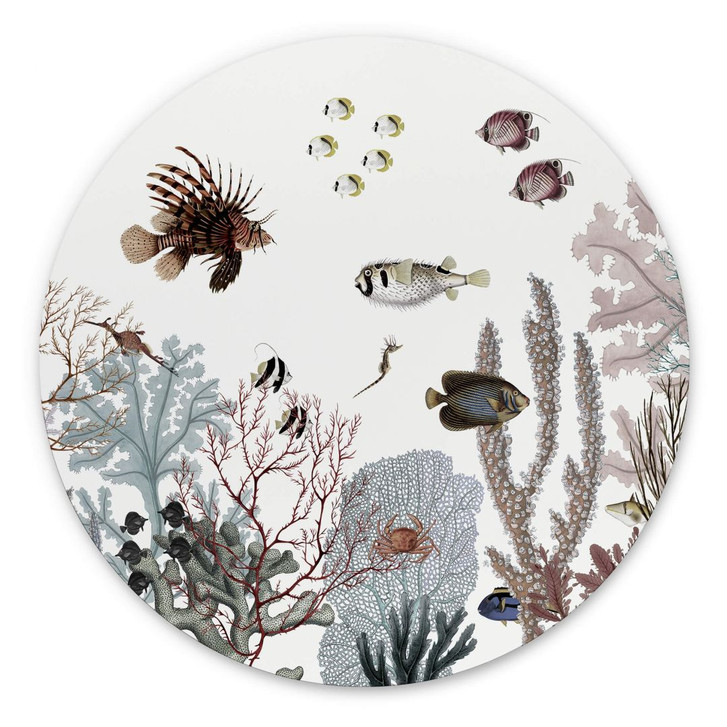 Wandbild Sir Edward - Tosendes Riff - Alu-Dibond Rund - WA383231