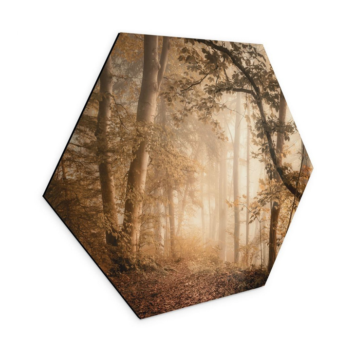 Hexagon Wandbild Wald im morgendlichen Nebel - Maier - Alu-Dibond - WA394032