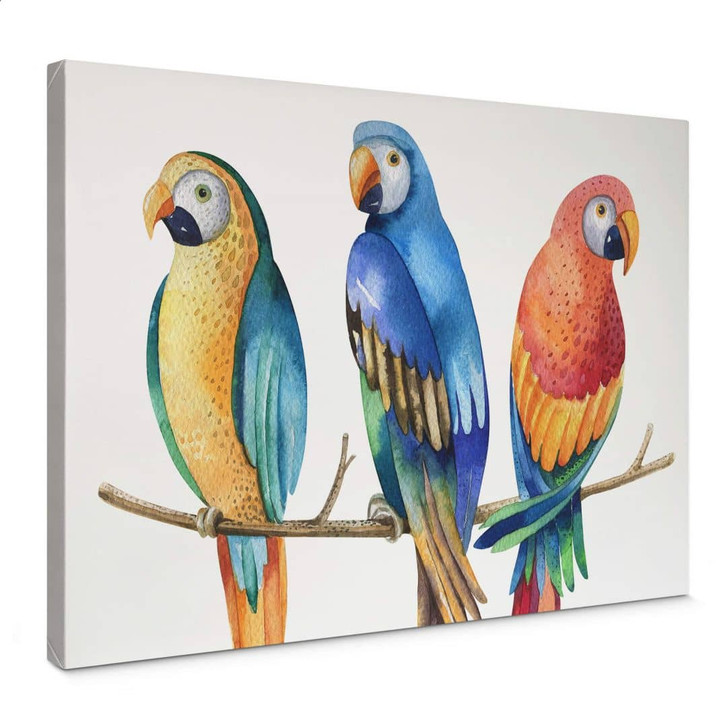 Leinwand Kvilis - Bunte Papageien - WA356562