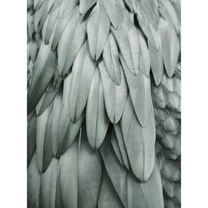 Livingwalls Fototapete ARTist Feathers mit Palmenblättern grün - WA310837