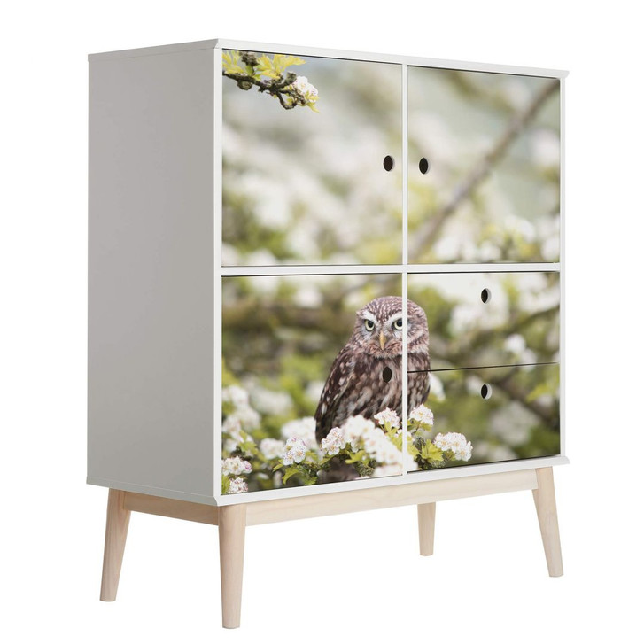 Möbelfolie, Dekofolie - abwischbar - Eule in der Kirschblüte - WA155496