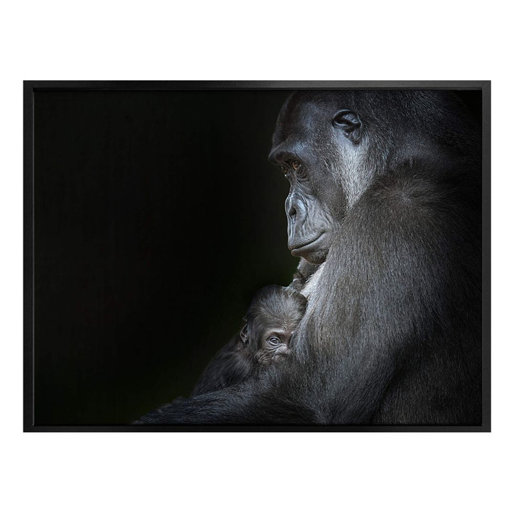 Poster Cuadrado - Tenderness - WA300749