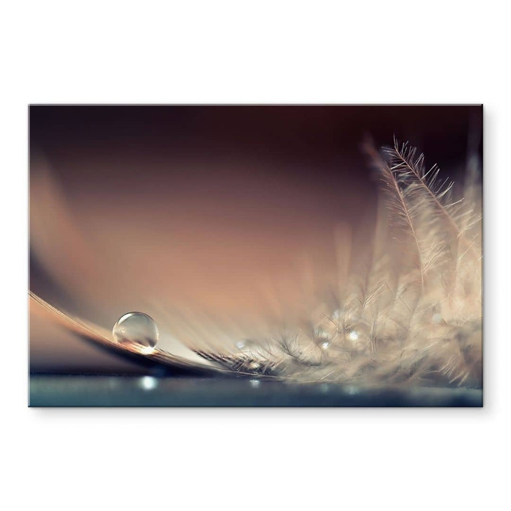 Acrylglasbild Story of a Waterdrop - Dmitry - WA464034