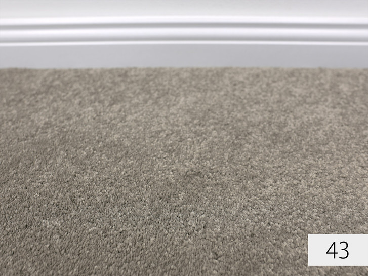 Amaryllis Softflor Teppichboden Meterware in 43 - TS488058