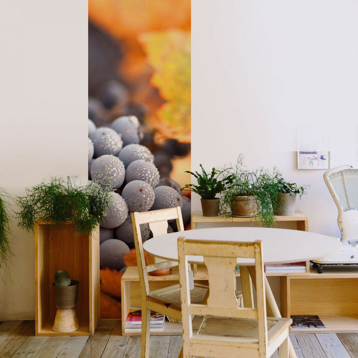 Fototapete Wein im Herbst - Panorama - WA227774