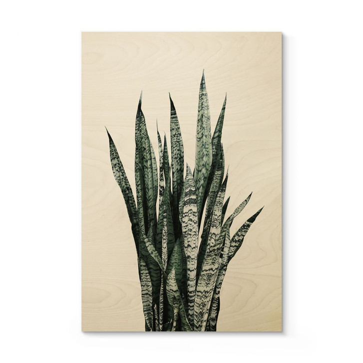 Holzbild Bogenhanf Pflanze - Sisi & Seb - WA425794