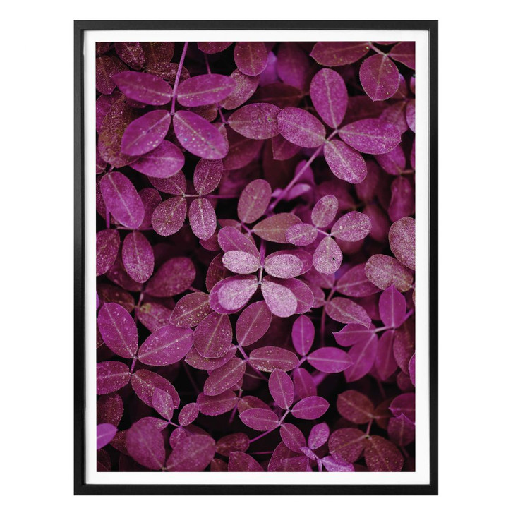 Poster Pink Leaves - WA239594