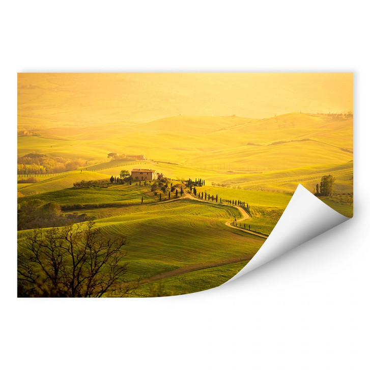 Wallprint Weitblick in der Toskana - WA190422