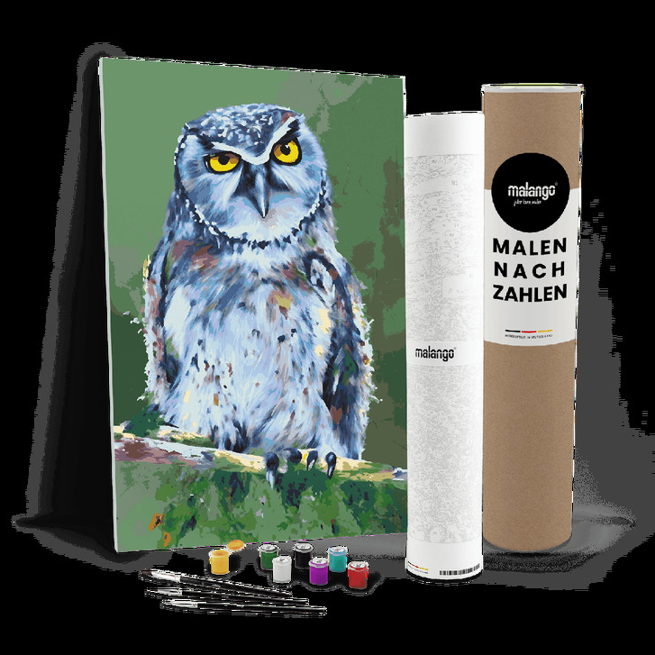 Malen nach Zahlen Leinwandbild - Eule Ernst - WA447338
